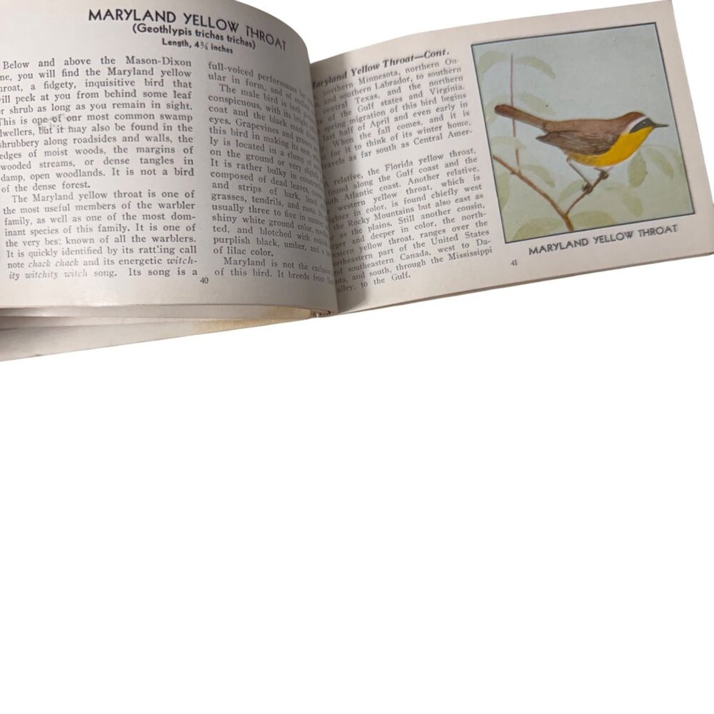 Vintage 1931 "The Green Book Of Birds Of America" By Frank G. Ashbrook - Picture 10 of 16